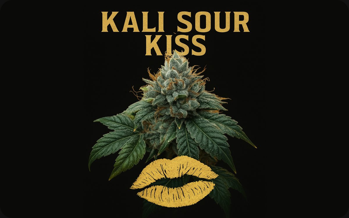 Kali Sour Kiss artwork