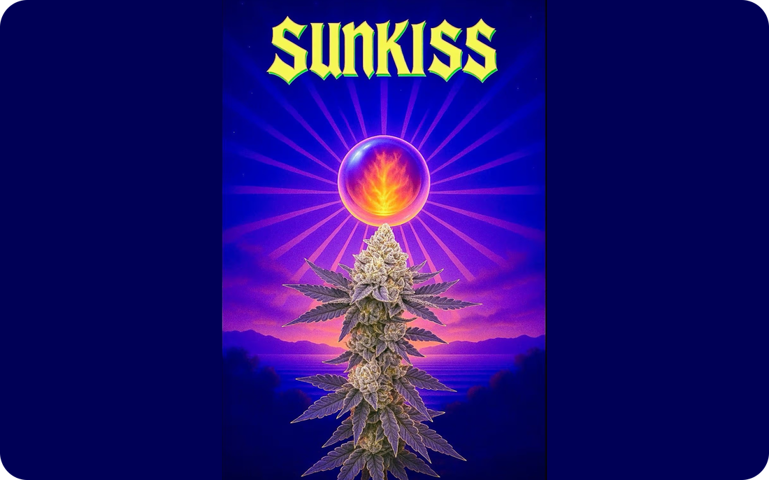 Sunkiss artwork