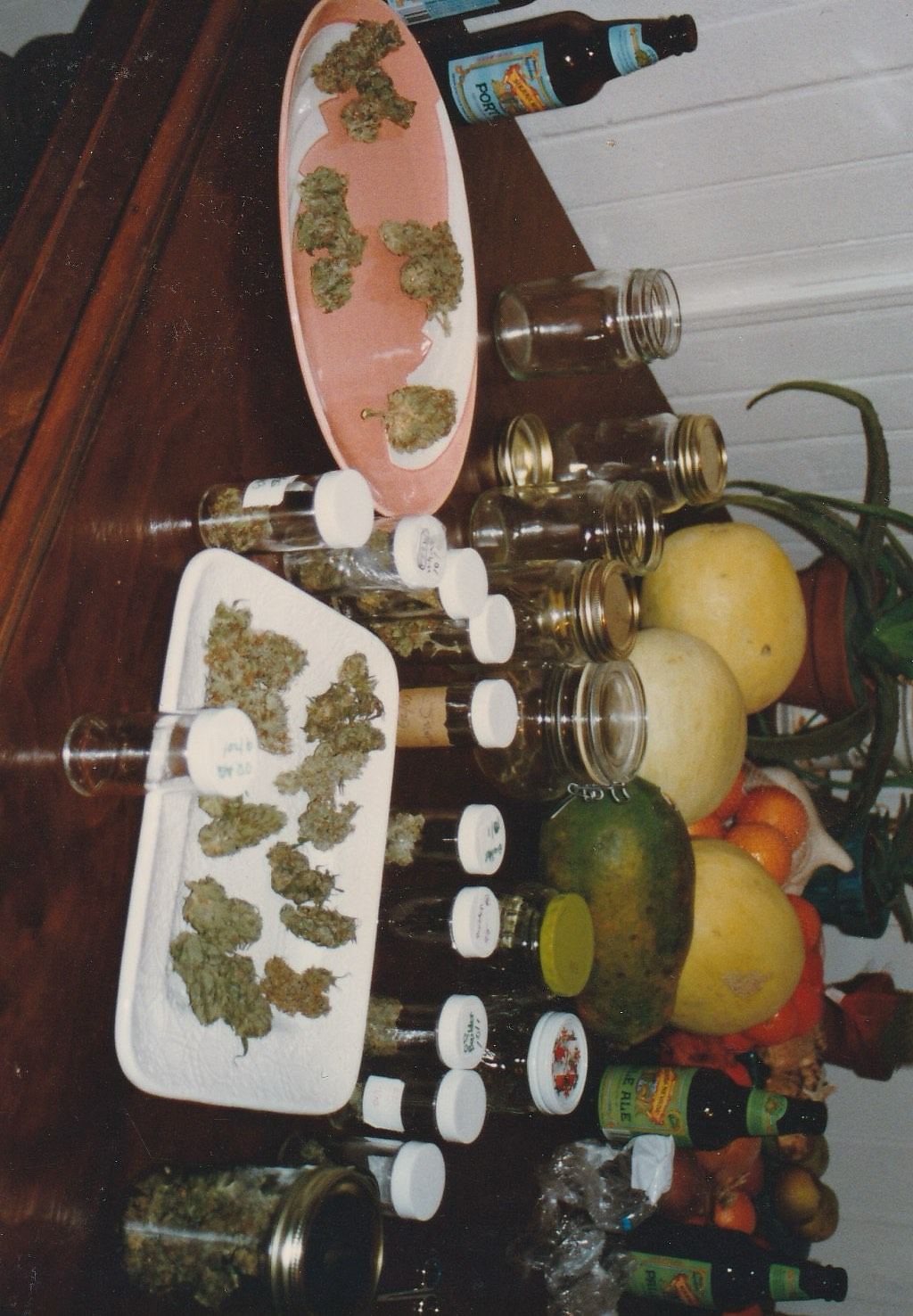 OG Kush archive photo P-039, awaiting Josh's annotation