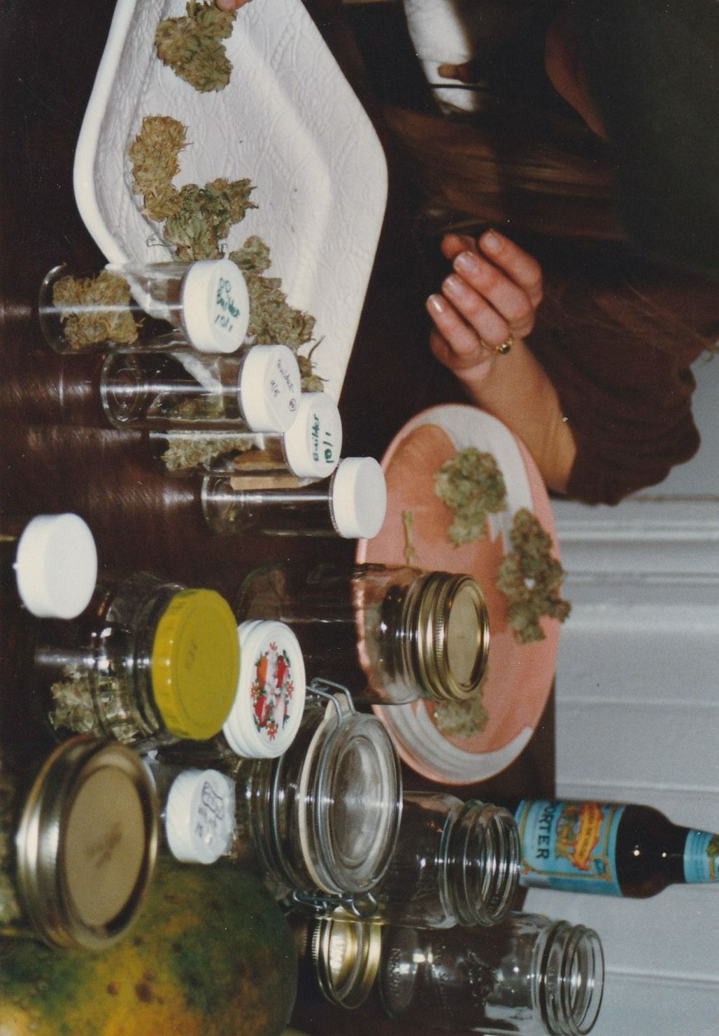OG Kush archive photo P-087, awaiting Josh's annotation